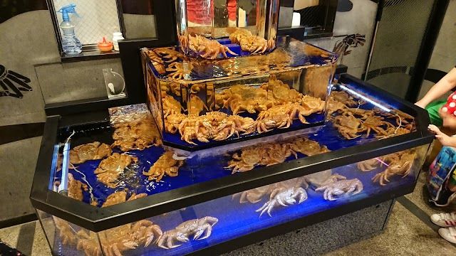 Kani Doraku Dotombori Honten